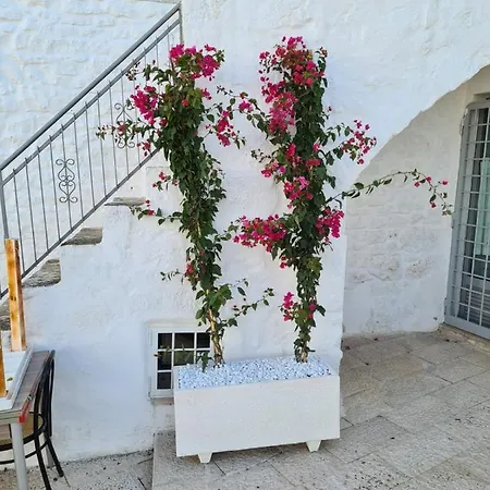 Vacation And Short & Ceglie - Celso